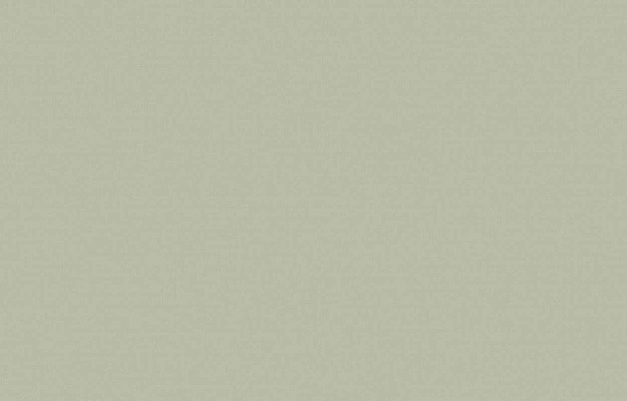 Обои Loymina A La Prima Plain Cotton PM13 005 10,05×1